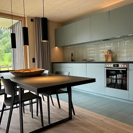 Bio Design Appartements Das Graue Schaf - An Der Skipiste *