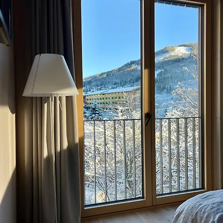 Bio Design Appartements Das Graue Schaf - An Der Skipiste