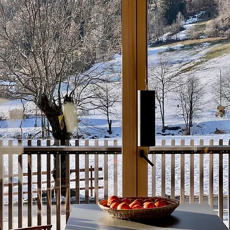 Bio Design Appartements Das Graue Schaf - An Der Skipiste アパート