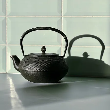 アパート Bio Design Appartements Das Graue Schaf - An Der Skipiste バド クラインキルヒハイム