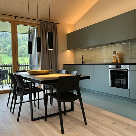 Bio Design Appartements Das Graue Schaf - An Der Skipiste *