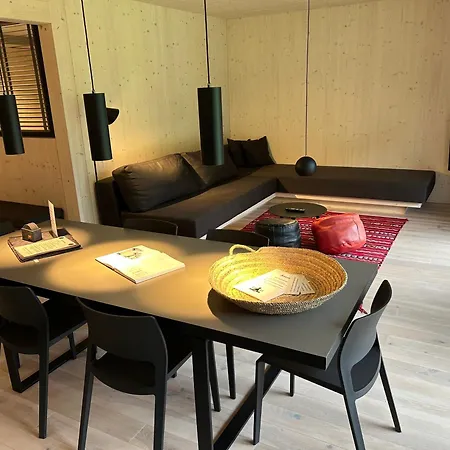 Bio Design Appartements Das Graue Schaf - An Der Skipiste *